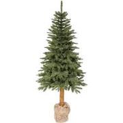 Tiaga fir d85h180 cm groen