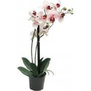 Phalaenopsis Orchidee in pot 50 cm roze kunstplant