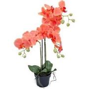 Orchidee kunstplant 3-tak 68 cm, oranje