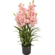 Cymbidium kunstplant 90 cm, roze