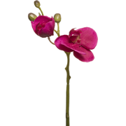 Kunstphalaenopsis orchideestam fuchsia H21