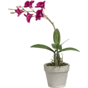 Dendrobium orchidee in fuchsia kunstpot H28