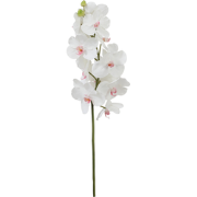 Witte kunstbandailan orchideestam H66