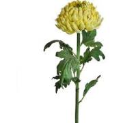 Kunstchrysant stengel helder geel H86