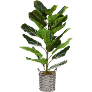 Beliani FIDDLE LEAF TREE - Kunstplant-Groen-Synthetisch materiaal