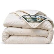 Terschellinger Wolweelde 100%zuiver Wollen All-Season dekbed 200x220cm