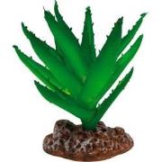 Repto Aquadistri plant aloe vera