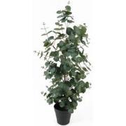 Kunstplant Eucalyptus Leaf Large - Groen - 30x30x78cm