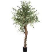 PTMD Tree Green Olive Tree In Pot 210cm