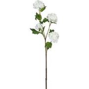 Tige d'Hydrangea Snowballs 4 têtes - Blanc / 60 cm