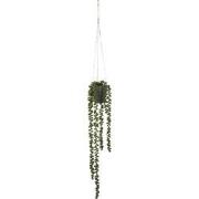 Mica Decorations Senecio Kunst Hangplant - H56 x Ø9 cm - Groen