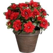 Mica Decorations Azalea Kunstplant in Bloempot Stan - H31 x Ø26 cm - R...