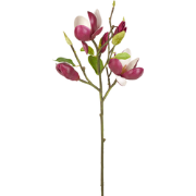 Kunstmatige witte en roze magnolia knopsteel H50