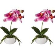 Kopu® Set 2 stuks Kunstplant Mini Orchidee 27 cm in witte Sierpot - Ro...