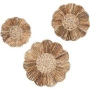 MUST Living Wall deco Flower, set of 3,Ø40x6 cm / Ø50x6 cm / Ø62x6 cm,...