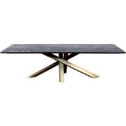 PTMD Alore Black Gold Diningtable Rectangle 280 Cm