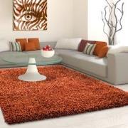 Tapijtenloods Basic Shaggy vloerkleed Terra / Oranje Hoogpolig- 140x20...