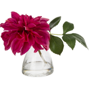 Fuchsia kunstmatige water illusie dahlia H16