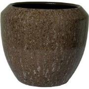 HS Potterie Marseille Pot - 16x14