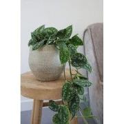 HS Potterie Taupe Pot Tokio - D24xH22