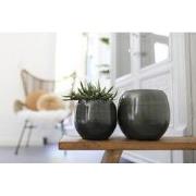 HS Potterie Bari Groen - 22