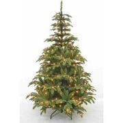 Triumph Tree Kunstkerstboom Aurora - 312LED - Warmwit - H185xØ119 - Gr...