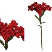 PTMD Celosia Kunstbloem - 40,5 x 25 x 80 cm - Rood