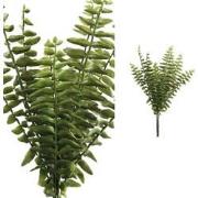 PTMD Fern Plant Varen Prikker -26 x 24 x 35 cm - Groen