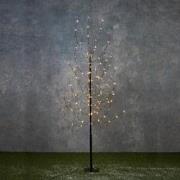 Luca Lighting Boom Verlichting - H150 - 140 led lampjes - Zwart