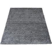 Vloerkleed Buddy Antraciet 240 x 340 cm