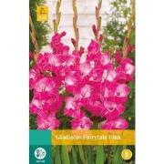 2 stuks - Gladiolus Fairytale Pink 5 bollen