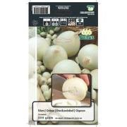 2 stuks - Zomer Bloembollen Uien Snowball (per 500 gram)