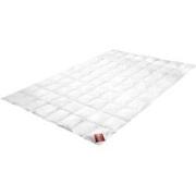 Brinkhaus Dekbed Classica Warm 220 g/m2 - 240 x 220 cm