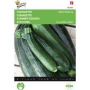 2 stuks - Courgette Black Beauty Verte De Milan