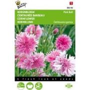 5 stuks - Centaurea cyanus Pink Ball Tuinplus