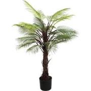 PTMD Tree Green Palm Tree In Black Pot