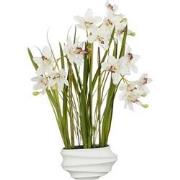 Mica Decorations Kunstplant Cymbidium - 49x40x81 cm - Polyester - Crem...