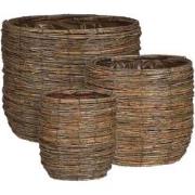 Mica Decorations Bloempot Cargo - 34x34x28 cm - Willow - Bruin- Set va...