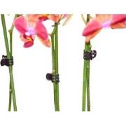 Orchidee clips zwart set a 10 stuks