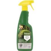 2 stuks - Buxus Groen 500ml