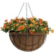 2 stuks - Hanging basket metaaldraad groen geepoxeerd incl. ketting H1...