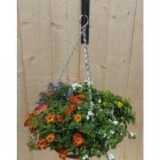 Hanging basket zomerbloeiers kleurenmix h25 cm