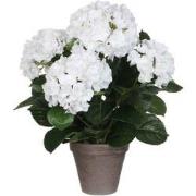 Mica Decorations Hortensia Kunstplant - 45x45 cm - Pot - Wit