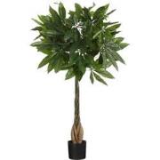 Mica Decorations Pachira Kunstplant - H80 x Ø60 cm - Pot - Groen