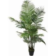 Mica Decorations areca palm in pot maat in cm: 130 x 140