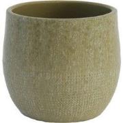 HS Potterie Lugo Groen - 16