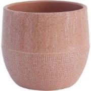 HS Potterie Lugo Roze - 13