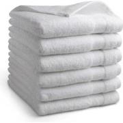 DoubleDry Hotel Handdoeken 50 x 100 cm – Set van 6 – 100% Katoen 500 g...