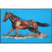 Fine Asianliving Olieverf Schilderij 100% Handgeschilderd 3D met