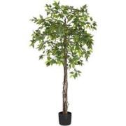 Mica Decorations Kunstboom Ficus - 50x50x150 cm - Polyester - Groen
